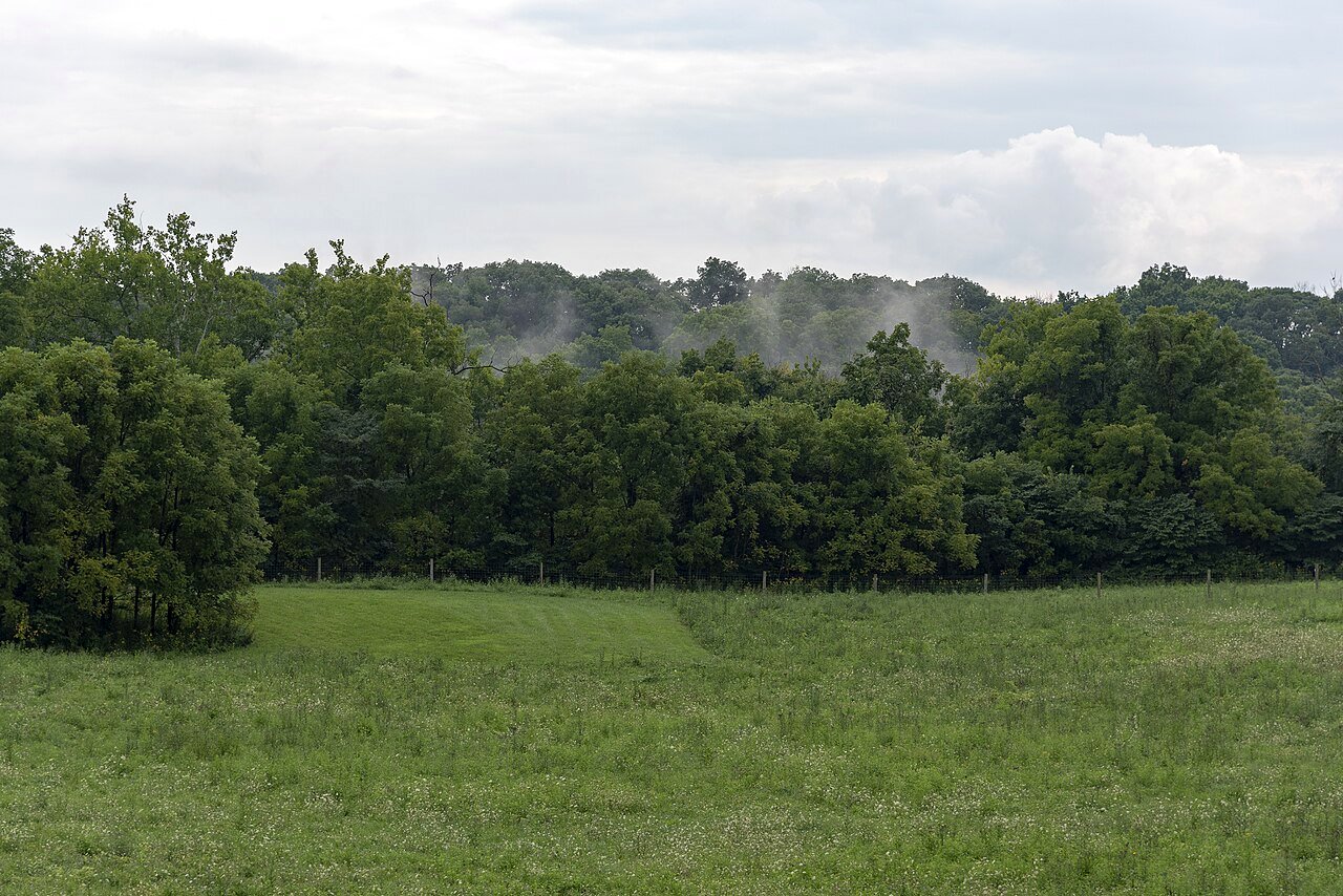Fog rising over the meadow and mowed trail at Battelle Darby Creek