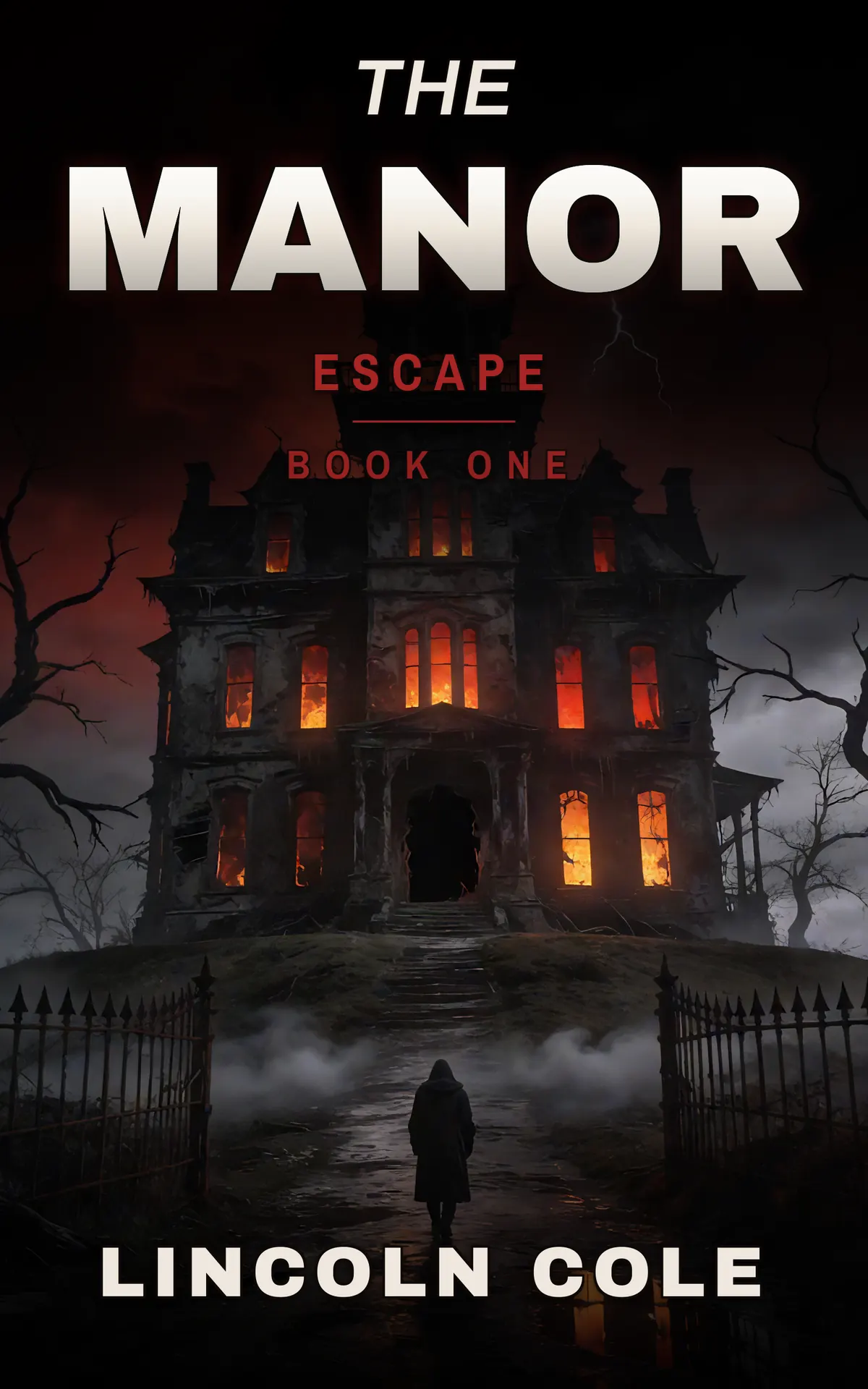 The Manor cover