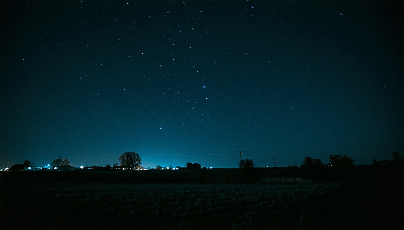 Nightshade - Chapter 1: Rock Bottom