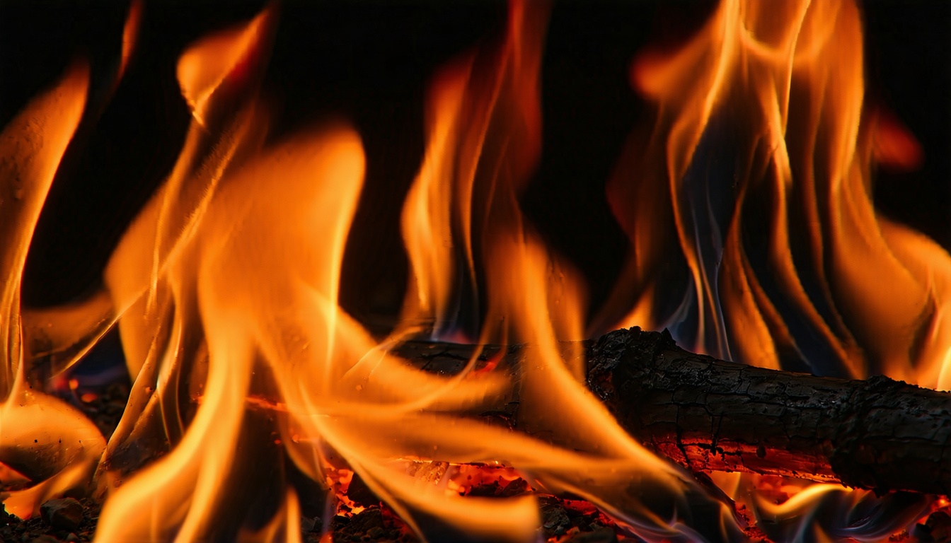 Oleander - Chapter 9: Baptism by Fire